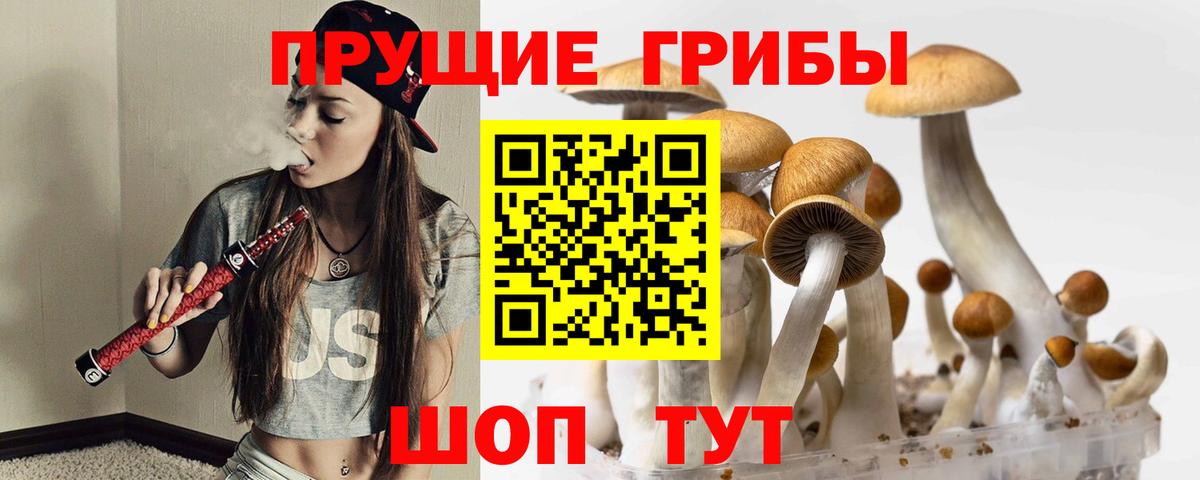 Галлюциногенные грибы MAGIC MUSHROOMS Мценск